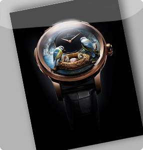 Images or animations do not load